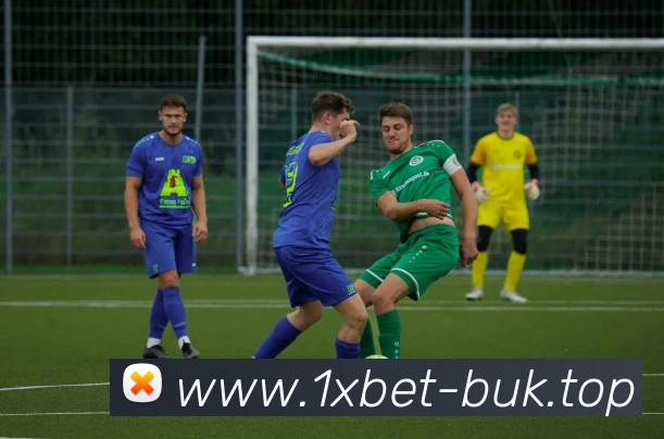 奖项证书